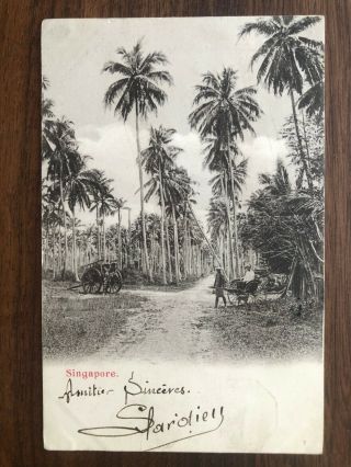 Straits Settlements Old Postcard Singapore To France 1904