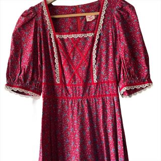 Vintage 70s Candi Jones California Prairie Dress