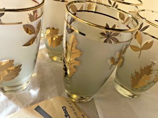Set Of 8 Vintage Mcm Libbey Frosted Gold Leaf Water Glasses Tumblers