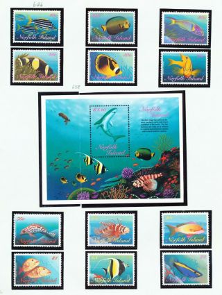 Norfolk Island - 646 - 658,  Sg 666/78 - Vf Mnh Set & S/s - Fish.  1998