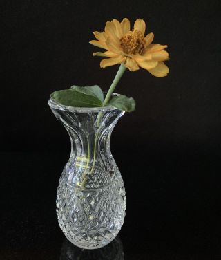 Signed Vintage Waterford Crystal 4” Mini Bud Vase Colleen Pattern Pineapple