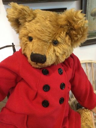 Huge 26 " Bear By Judy Sparrow,  Signed.  Ex,  With Provenance.