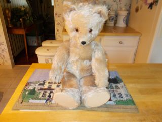 1950s Made By The Schuco Company In Germany 21 " Yes/no Bear Fully Jointed