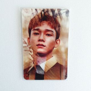 [Rare] EXO x Nature Republic Promotional Official Lenticular Limited Photocard 3