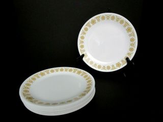 11 Dinner Plates In Vintage Discontinued Corelle Butterfly Gold Pattern 10 1/4 "
