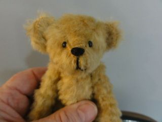 Collectible Vintage Petite Fuzzy Wool Mohair Plush Toy Bear Glass Eyes Steiff