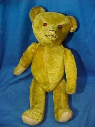 1920s Steiff 16 " Golden Mohair Teddy Bear