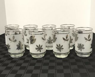 8 Vintage Libbey Frosted Silver Foliage Leaf Glasses Tumblers 4.  5” Tall - 10 Oz