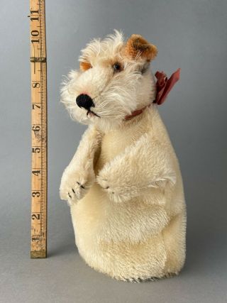 STEIFF Foxy Terrier Dog Hand Puppet 1950s Mohair Glass Eyes German Toy 2