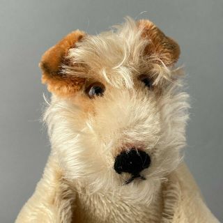 STEIFF Foxy Terrier Dog Hand Puppet 1950s Mohair Glass Eyes German Toy 3