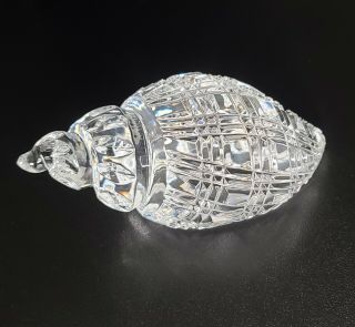 Vintage Waterford Crystal Glass Conch Shell Paperweight Signed Donal Murphy 2001