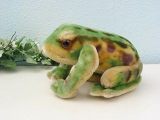 Steiff Frog Froggy,  20 Cm With Id