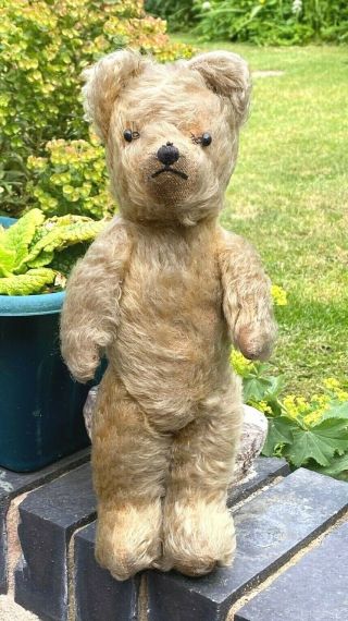 Antique Vintage Jointed Teddy Bear 14 " 1930 
