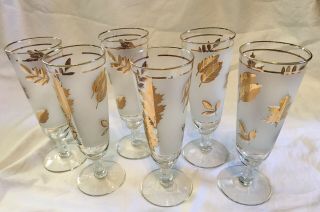 6 Libbey Vintage Pilsner/beer/cocktail Glasses Frosted W/ Gold Leaves