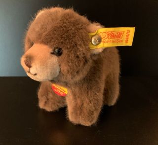 Vintage Steiff Browny Bear Miniature Plush 5 " 1444/12 1985 - 90