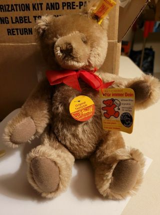 Vintage Steiff Mohair Teddy Bear 9”jointed W/ Tags 0202/26