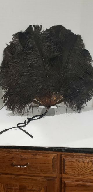 Antique Victorian Ostrich Feather Hand Fan W/ Tortoise Spokes