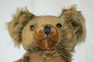 Antique 16 Inch Tall Teddy Bear with Glass Eyes & Jointed Arms & Legs 2