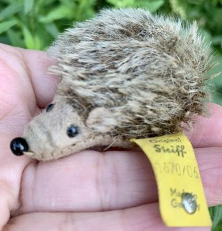 Vintage Steiff Joggi Hedgehog Miniature Mohair 2.  25” W/ ID Button & Flag 1670/06 2