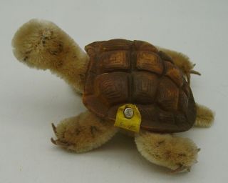 Vintage 50s Steiff Mohair Turtle Slo With Button And All Tags