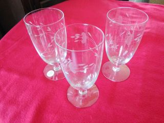 Princess House Heritage Etched Glass 3 Stemmed 6 " Water/iced Tea Glasses