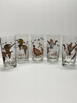 Gamebird Highball Glasses Vintage Set Of 6 | 5 1/2 " Tall | Ducks Geese Pheasants