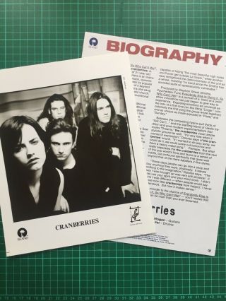 The Cranberries Everybody Else Is Vintage 1993 U.  S Press Kit Bio,  8x10 Photo