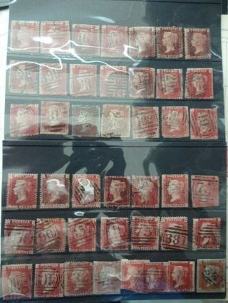 43 X Penny Red Stamps.  Various Plates,  Issues And Cancellations 1d Gb Qv