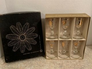 Vintage Set Of 6 Libbey Hostess Glassware 1 Oz.  Cordials,  Golden Foliage,  Boxed.