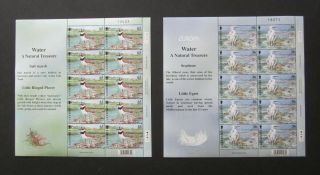 Guernsey Sets 2001.  4 Mini Sheet.  Europa.  Water Birds