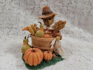 2011 Cherished Teddies Herbert 4023731 Thanksgiving Surrounded By Blessings