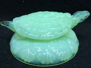 Jadeite Green Milk Vaseline Uranium Glass Snapping Turtle Tortoise Paperweight