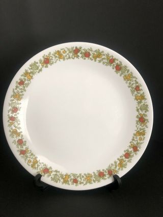 Vintage 1970’s Corelle By Corning Spice Of Life Dinner Plate 10.  25 "