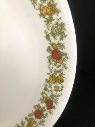 Vintage 1970’s CORELLE by Corning SPICE OF LIFE Dinner Plate 10.  25 