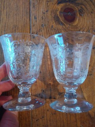 Fostoria Meadow Rose Etched Crystal Oyster Cocktail Goblets Set Of 2