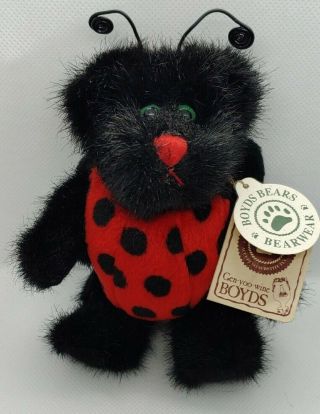 Boyds Iddy Biddy Ladybug Bear In Costume 6 " Plush Stuffed Animal Pre - Owned W Tag