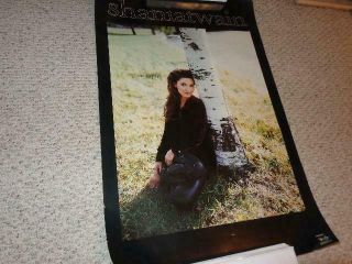 Shania Twain Big 23x34 Vintage Leaning On A Tree Poster,  Two - Sided French Poster