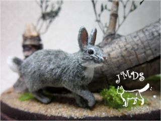 Ooak Dollhouse Miniature Handmade Gray Rabbit,  Cat Realistic 1:12 By Jmds