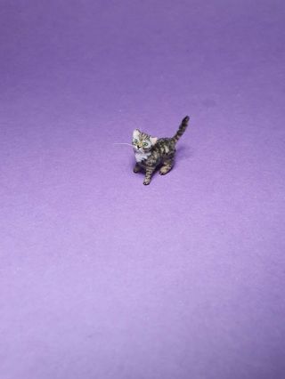 Ooak Realistic Tabby Kitten Cat Dollhouse Handmade Igma Artisan