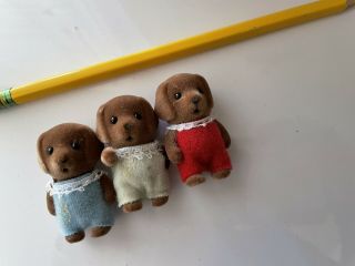 Calico Critters Sylvanian Families Chocolate Labrador Triplets Baby Puppies 2