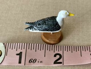 1:12 Scale 2008 Doug Guy Hand Carved And Hand Painted Great Black Backed Seagull