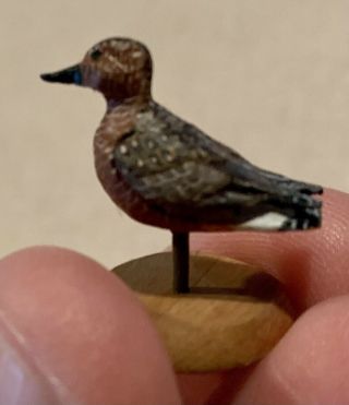 1:12 Scale 2008 Doug Guy Hand Carved And Hand Painted Red Knot Bird