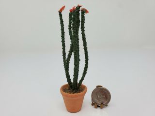 Miniature Dollhouse Artisan Succulent Flowering Cactus Plant In Clay Pot 1:12