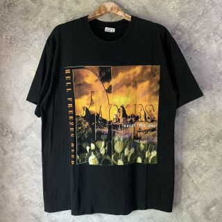 Eagles Vintage 1995 Hell Freezes Over World Tour T Shirt Xl Single Stitch