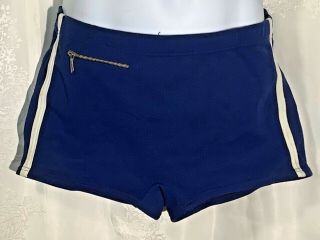 Vintage Swim Briefs Bathing Suit S Helanca 60s Navy Blue Trunks Poly Knit Stripe