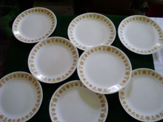 Set Of 8 Corelle Butterfly Gold Dinner Plates 10 1/4 "