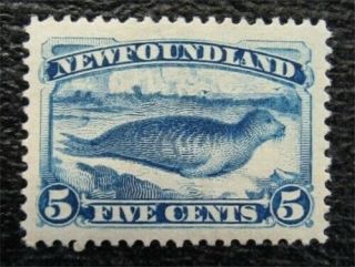 Nystamps Canada Newfoundland Stamp 55 Og H Un$75 Vf U4x2188