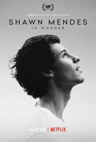 Shawn Mendes Poster : 11 X 17 Inches : In Wonder