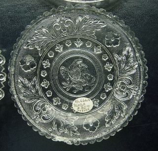 Eapg Scarce American Eagle Lacy Flint Glass Cup Plate Lee Rose 666 - A
