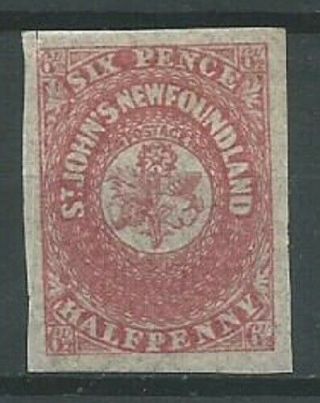 Newfoundland 1861 6 1/2d Pale Rose - Lake Sg24c Imperf With Gum Hinged (2043)